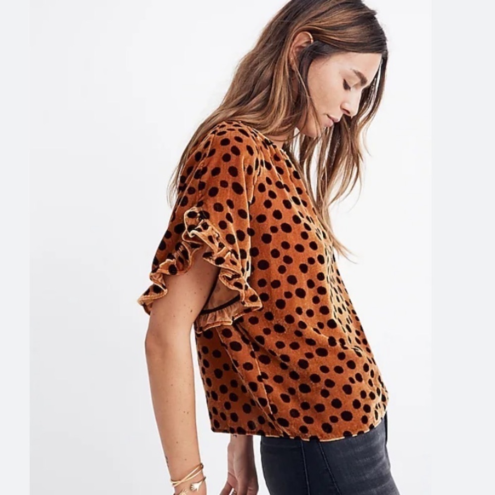 Madewell Velvet Memento Ruffle Sleeve Top